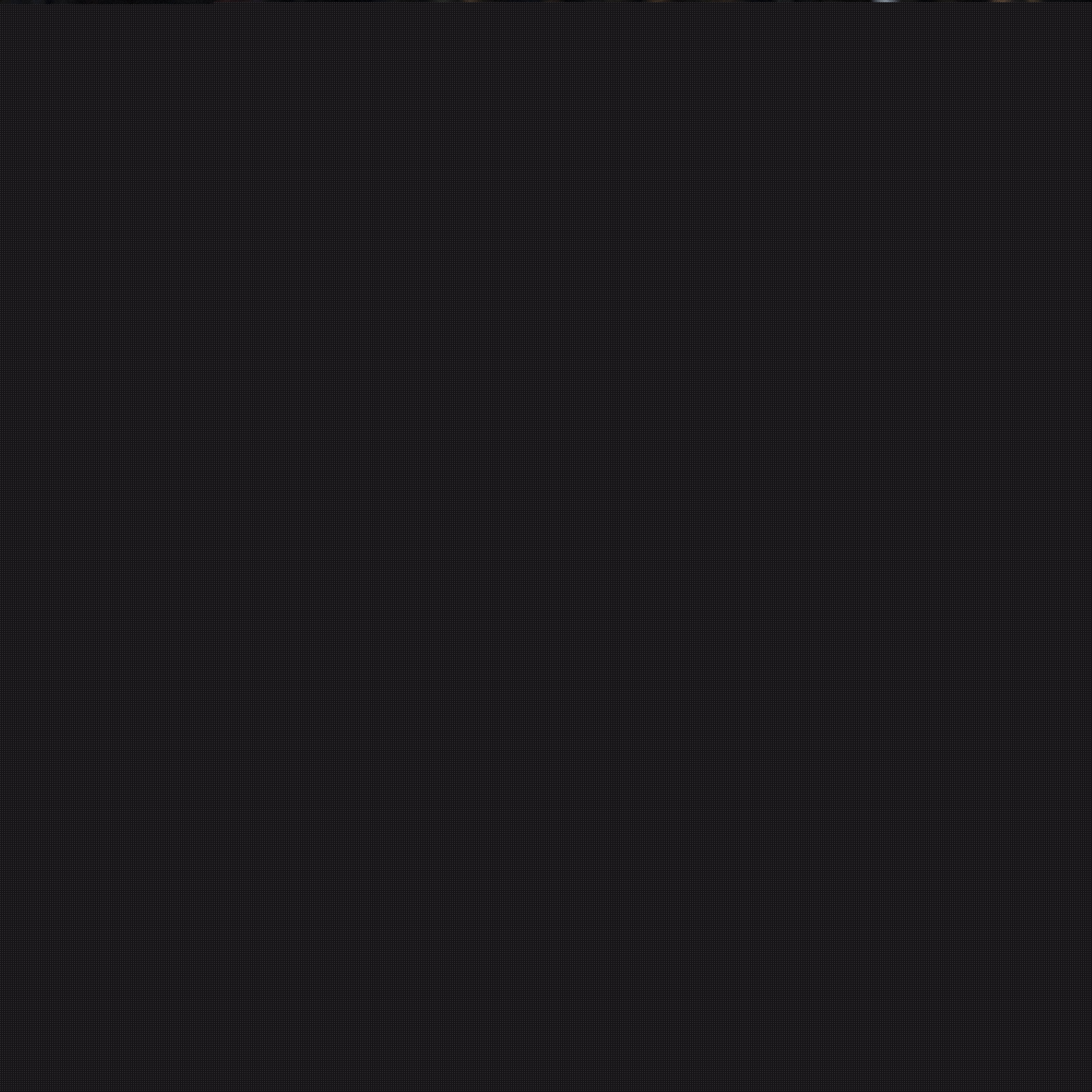 無數球迷