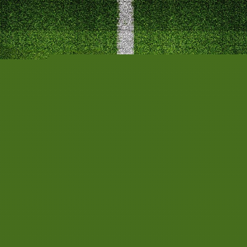 道路似乎也 道路似乎也