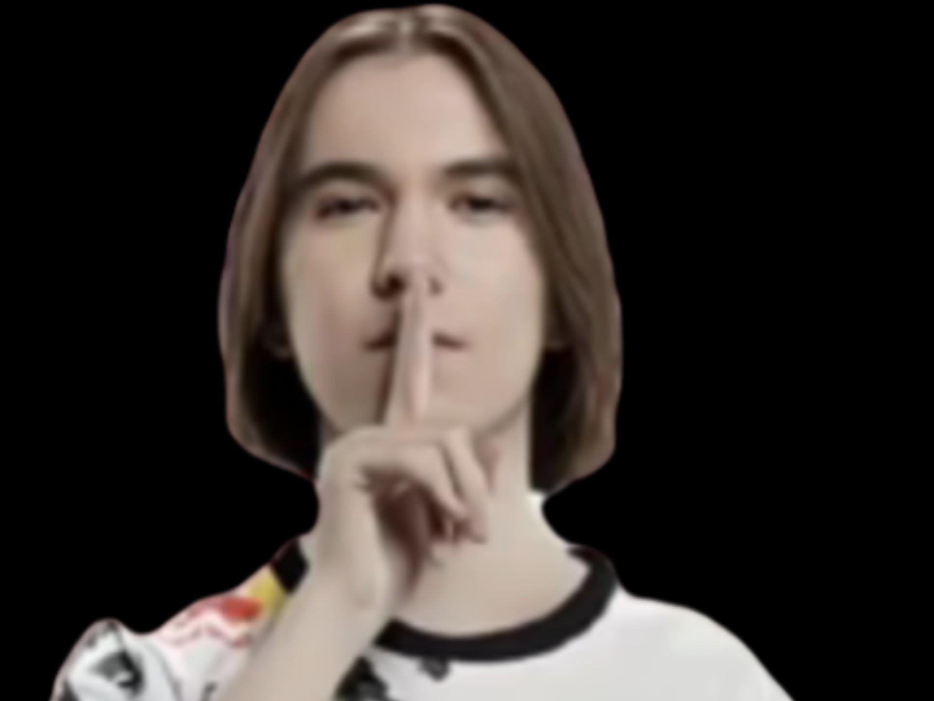 案例路径是 案例路径是